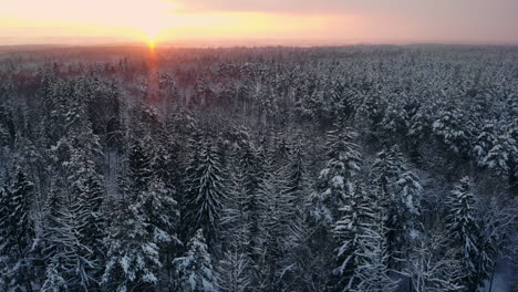Nordischer-Winterlandschaftsflug-Aus-Der-Luft-über-Den-Verschneiten-Bergwald-Bei-Sonnenuntergang.